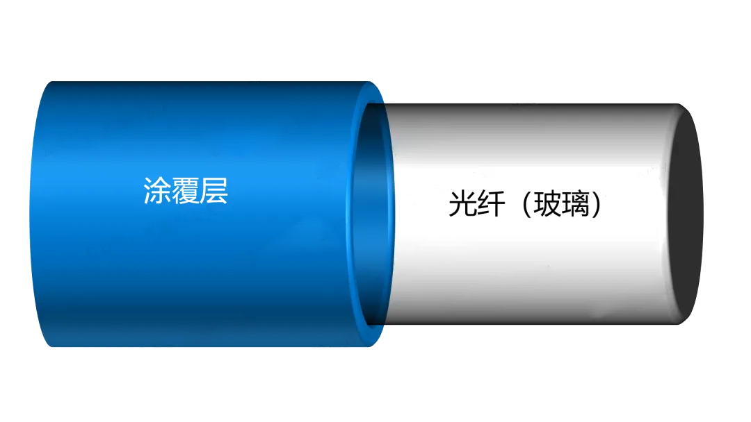 包層.png 包層.png