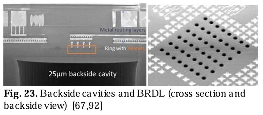 背面腔體和BRDL(橫截面和背面視圖)