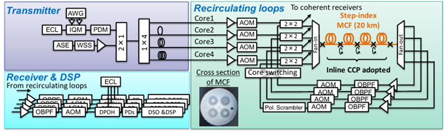 2×2聲光光開關 多芯光纖循環(huán)芯置換 芯間串擾抑制 3000 公里傳輸實驗