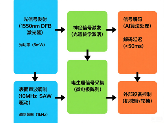 腦機接口光開關神經調控系統(tǒng)工作流程圖 腦機接口光開關神經調控系統(tǒng)工作流程圖