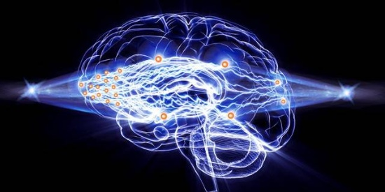 光腦神經(jīng)元網(wǎng)絡層級連接示意圖 光腦神經(jīng)元網(wǎng)絡層級連接示意圖