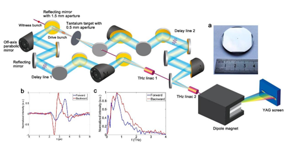 太赫茲光開關(guān)非侵入式醫(yī)療檢測(cè)示意圖 太赫茲光開關(guān)非侵入式醫(yī)療檢測(cè)示意圖